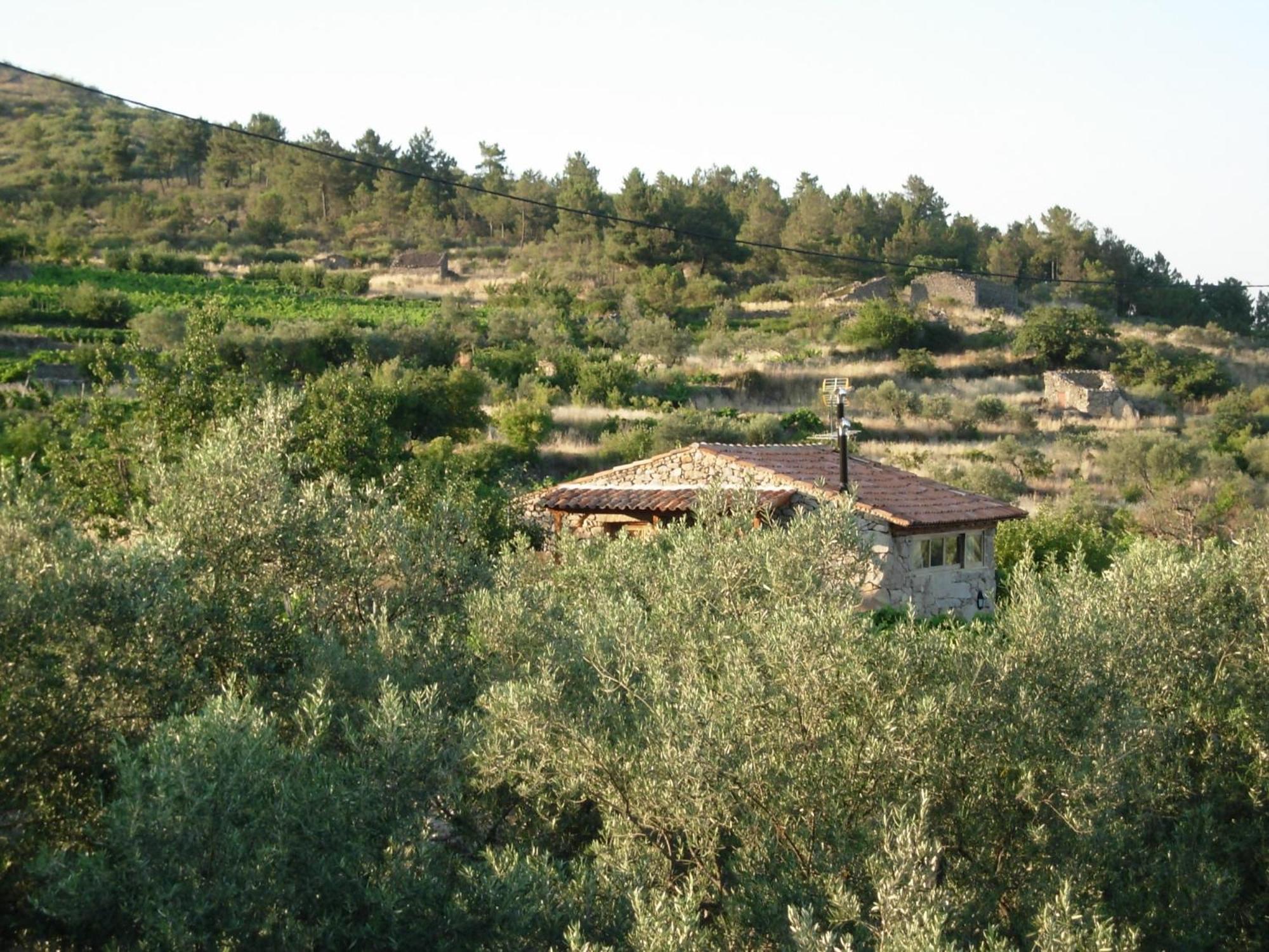Outros Tempos Turismo De Aldeia Otel Aricera Dış mekan fotoğraf